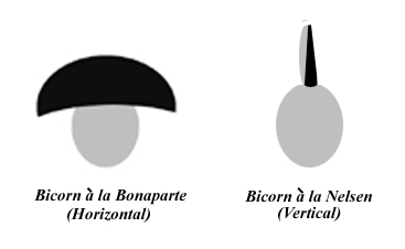 Bicorn a la Nelsen